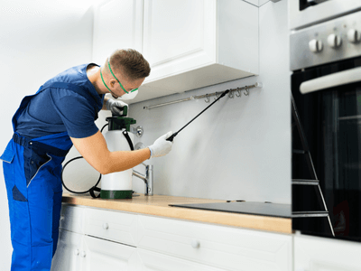 About QPC Bountiful - quarterly pest control experts in Bountiful