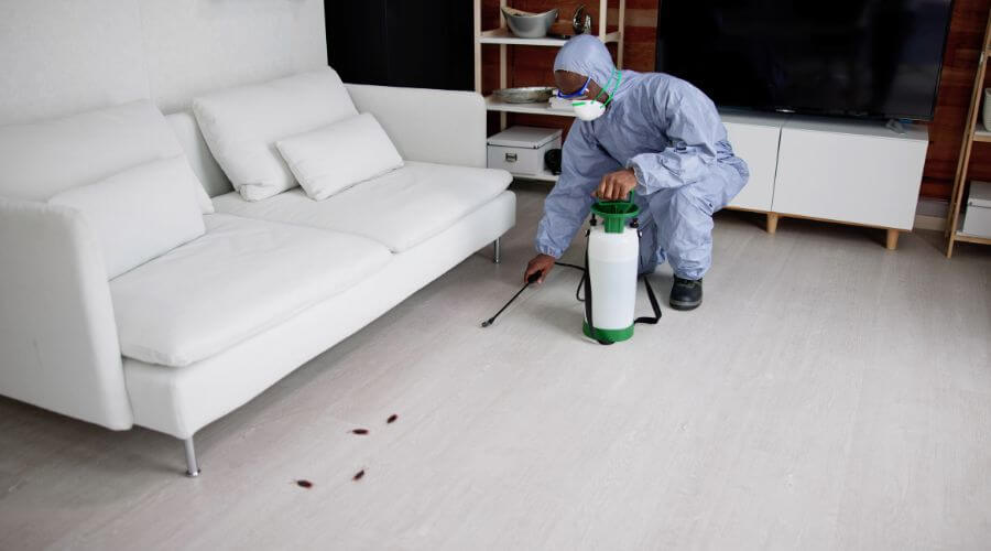 Why choose QPC Bountiful for quarterly pest control in Bountiful